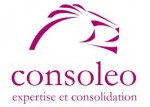 consoleo logo